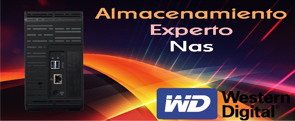 Almacenamiento experto Nas